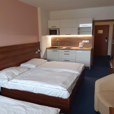 Apartman Wellness Hotel Frymburk Eksteriør bilde