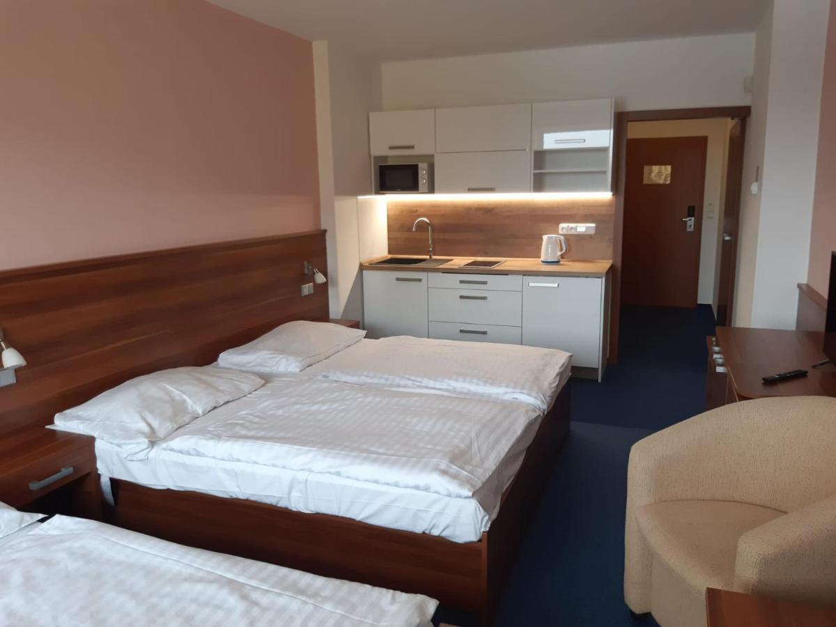 Apartman Wellness Hotel Frymburk Eksteriør bilde