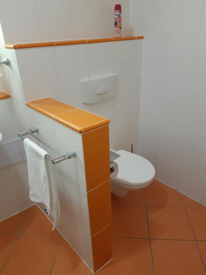 Apartman Wellness Hotel Frymburk Eksteriør bilde