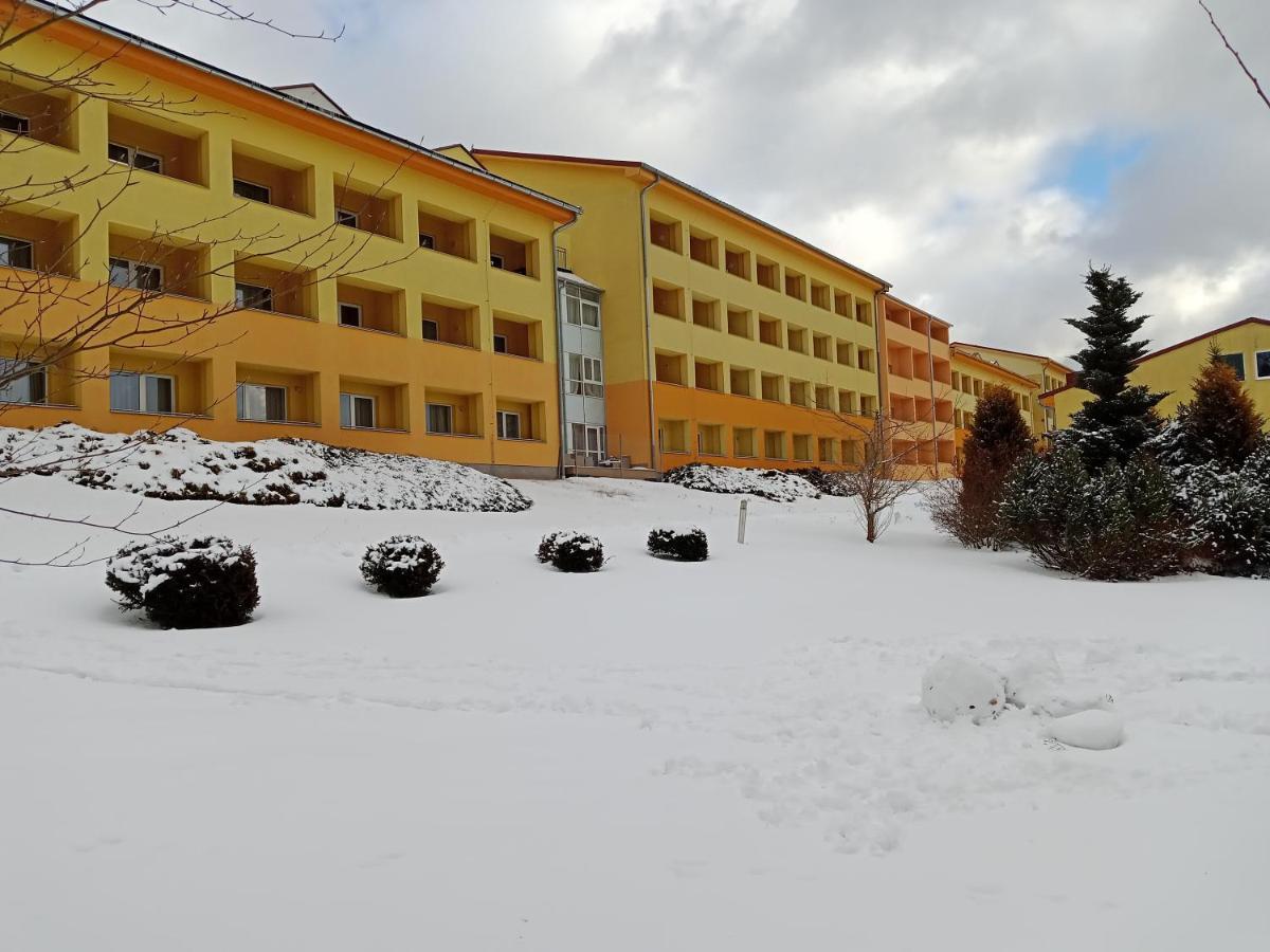 Apartman Wellness Hotel Frymburk Eksteriør bilde